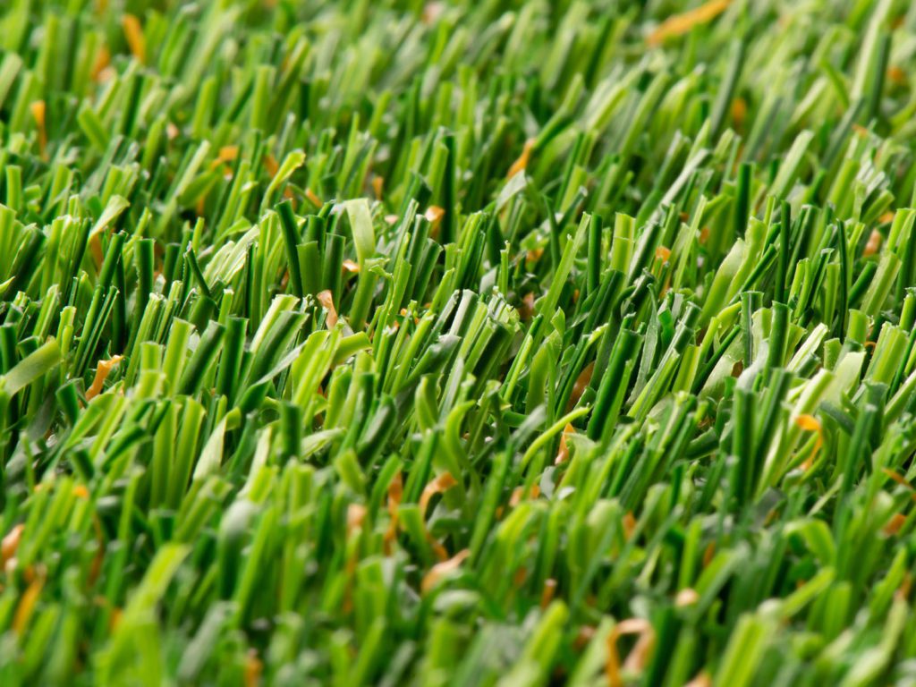 multisport, Multisports sur gazon synthétique/surfaces synthétiques