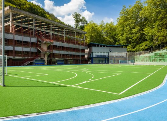 Ikastola Ekintza San Seabstian