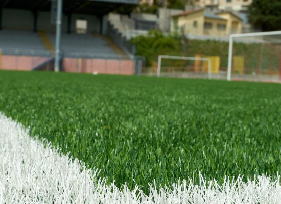 Stade Viviani