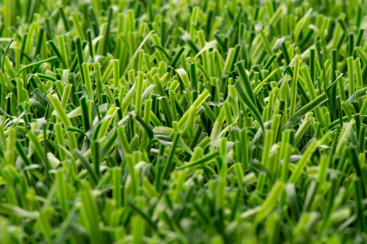 Ligaturf Cross R, Recycled turf