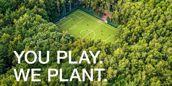 La forêt Polytan